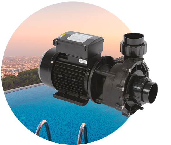 Dual-speed spa PUMP